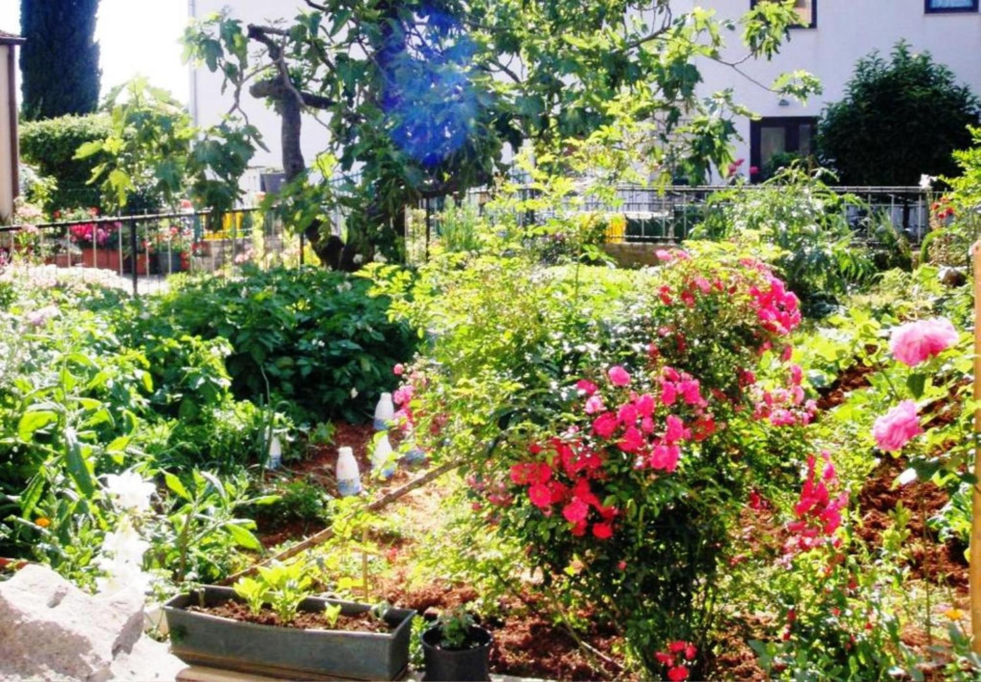 Renata Mare Apartments โรวีน ภายนอก รูปภาพ